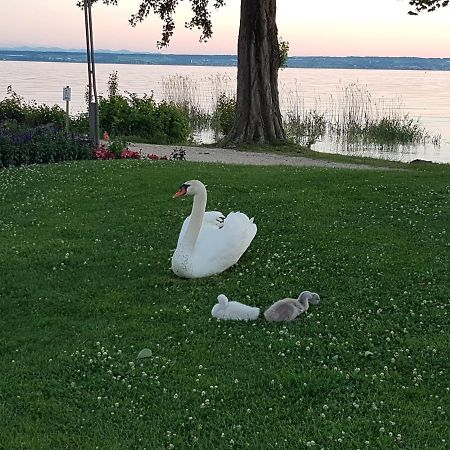 Malvelyns Am Bodensee اممنستاد ام بودينسي المظهر الخارجي الصورة