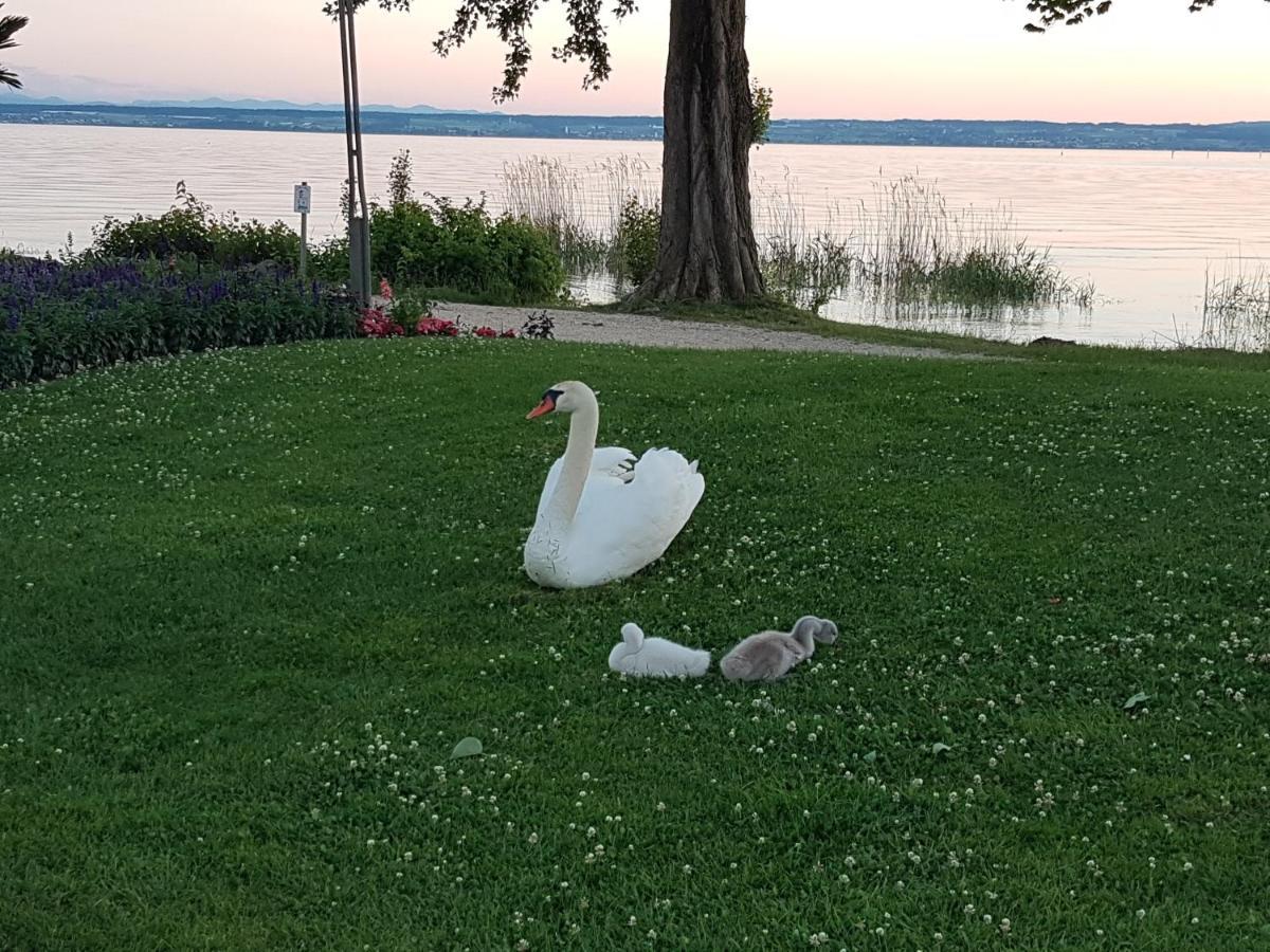 Malvelyns Am Bodensee اممنستاد ام بودينسي المظهر الخارجي الصورة